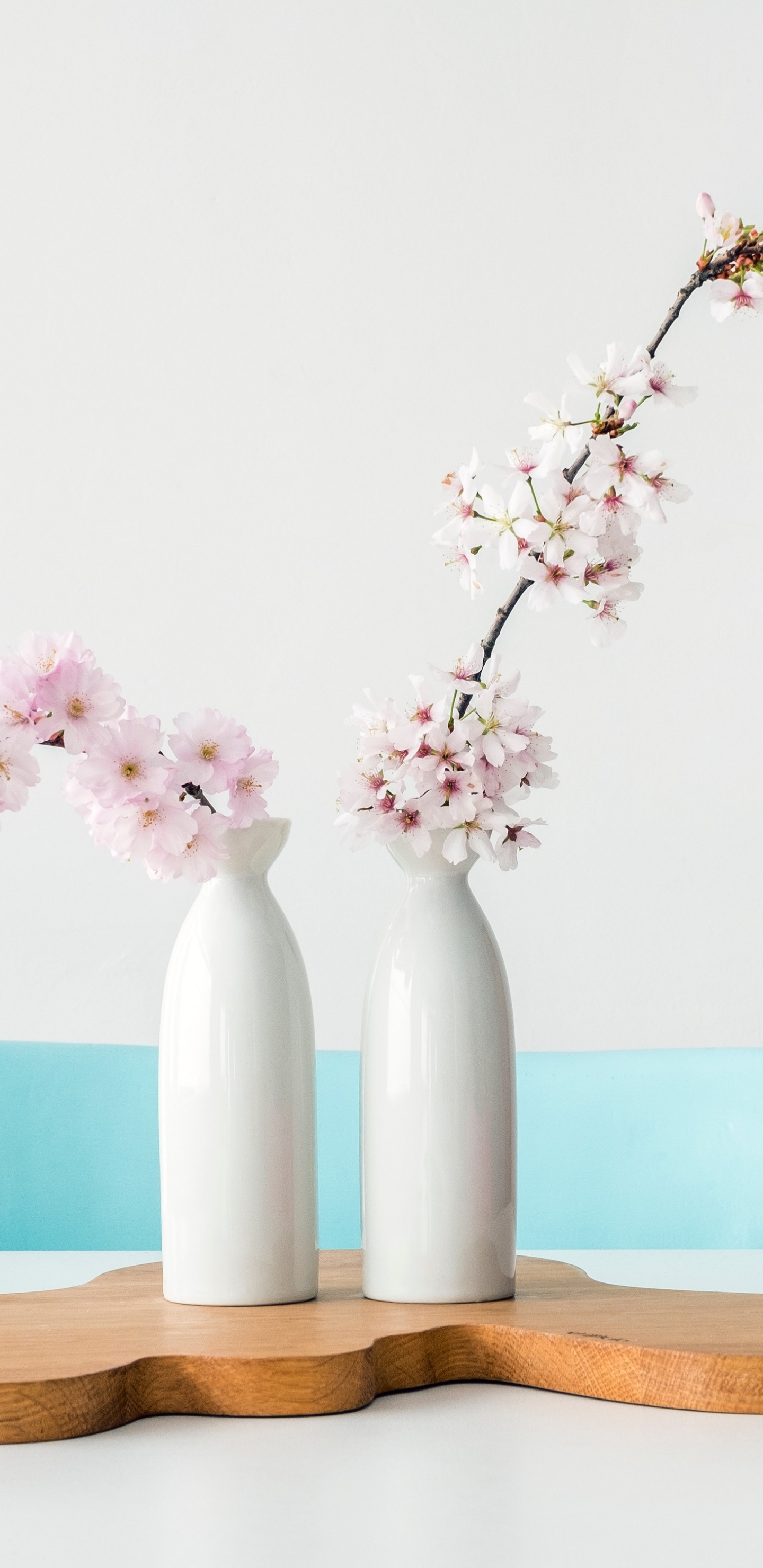 Being Secure in Yourself, Flower, Vase, Plant, Table. Wallpaper in 1440x2960 Resolution