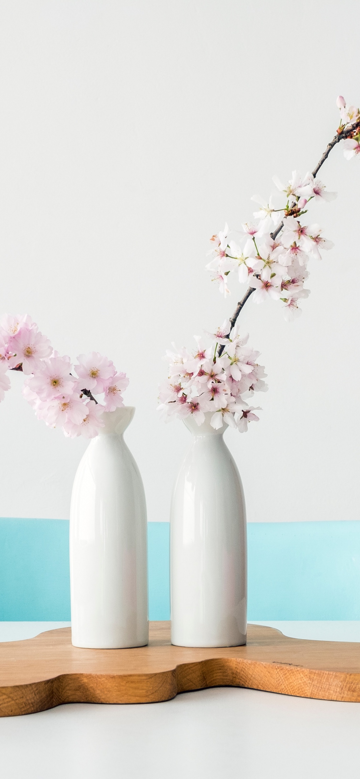 花瓶, 水上, 树枝, 的房子 壁纸 1242x2688 允许