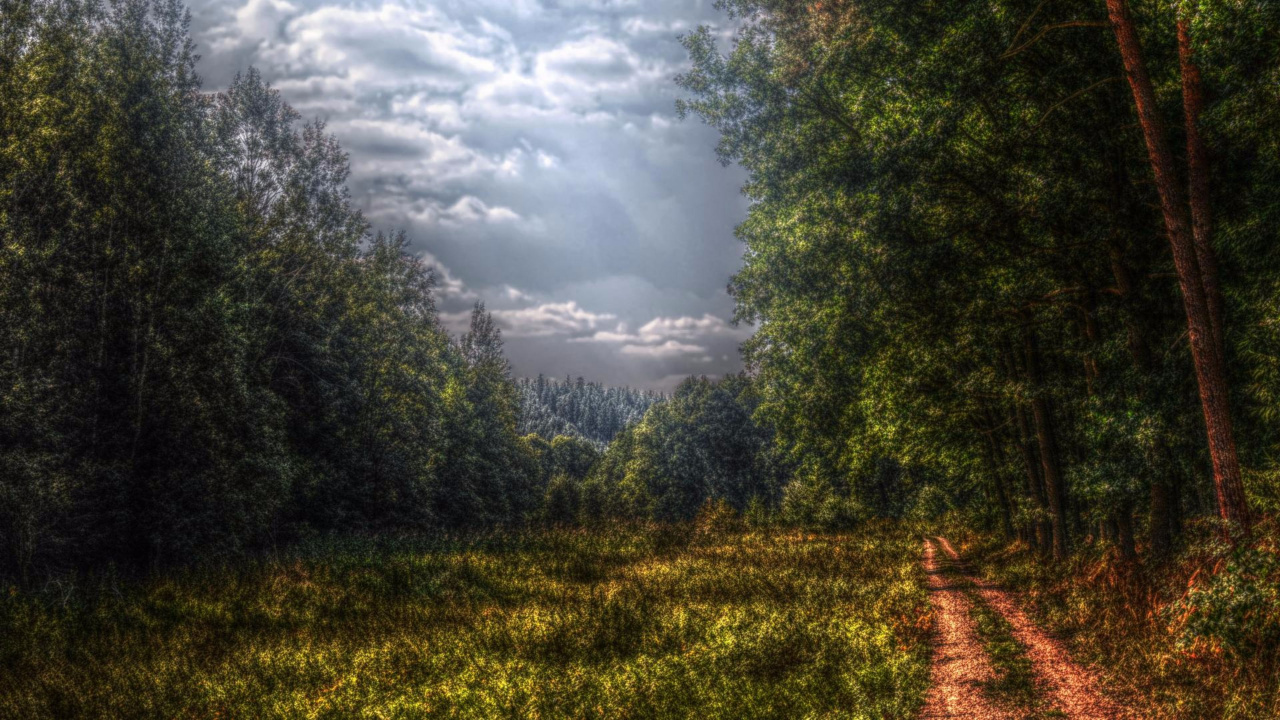 Green Trees on Green Grass Field Under White Clouds and Blue Sky During Daytime. Wallpaper in 1280x720 Resolution