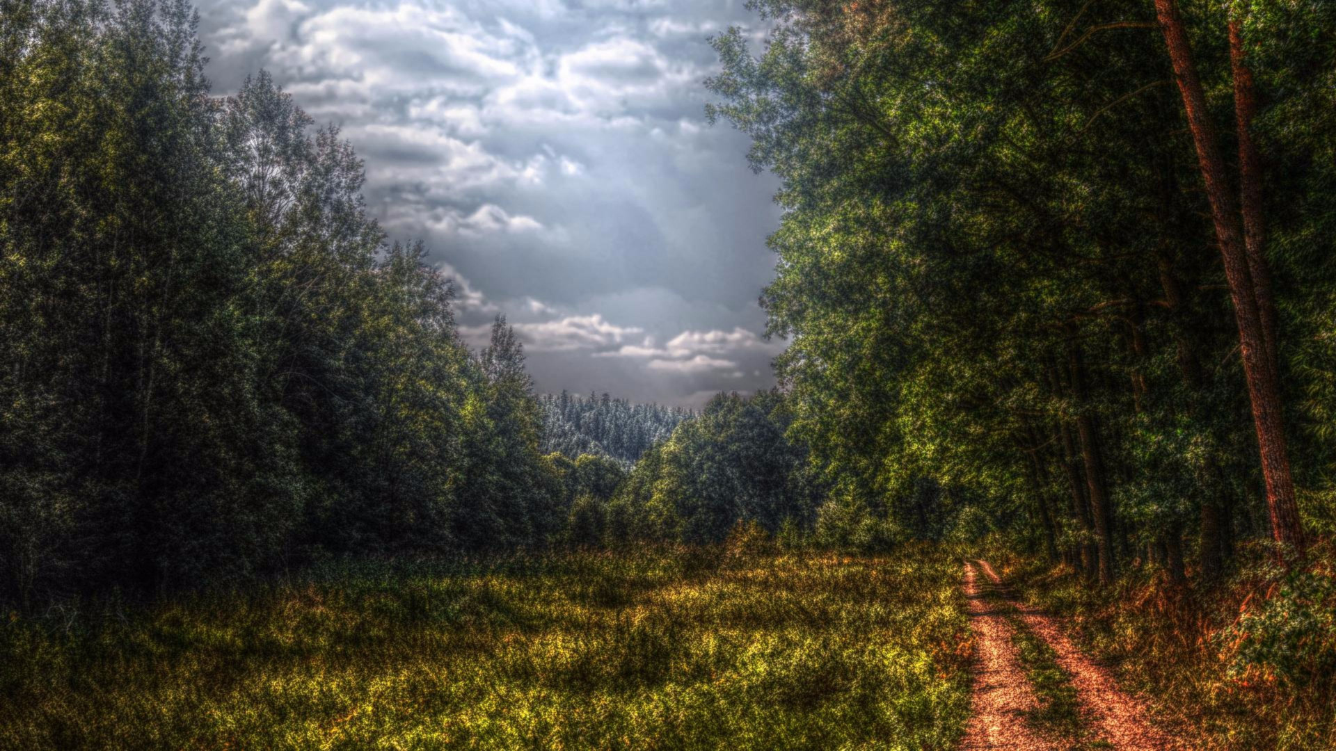 Green Trees on Green Grass Field Under White Clouds and Blue Sky During Daytime. Wallpaper in 1920x1080 Resolution