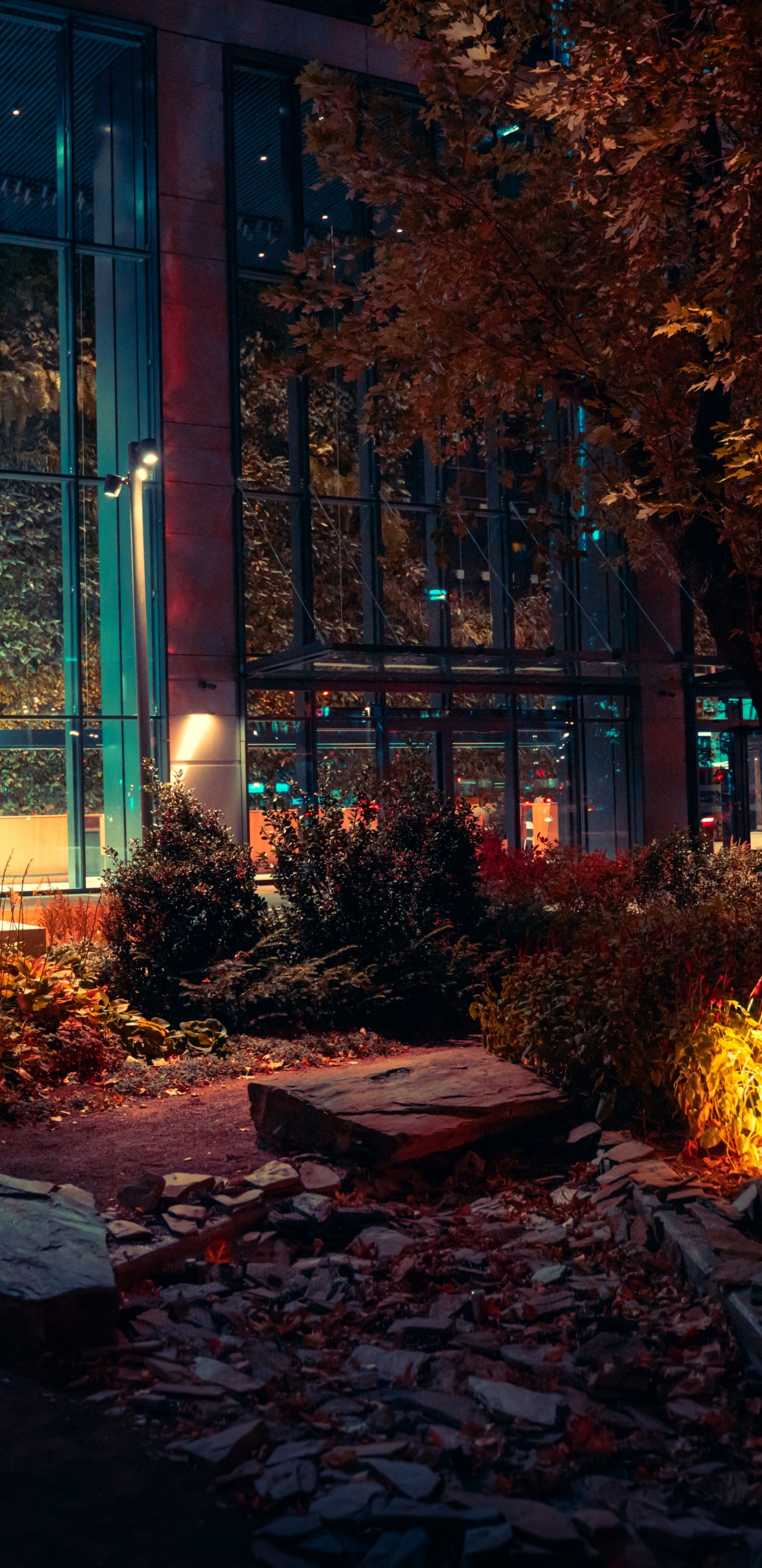 Nuit, Bâtiment, Paysage Urbain, Avenir, Propriété. Wallpaper in 1440x2960 Resolution