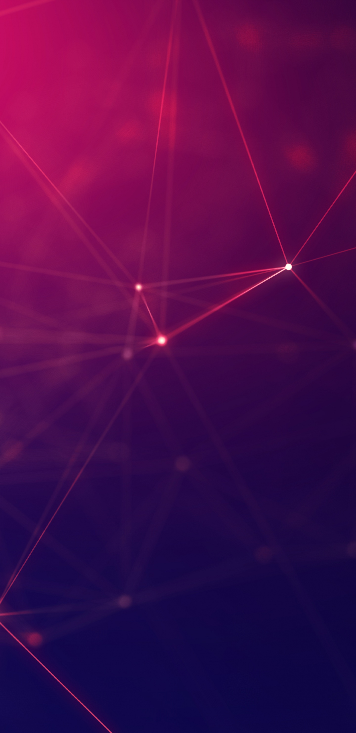 Spinnennetz Mit Schwarzem Hintergrund. Wallpaper in 1440x2960 Resolution