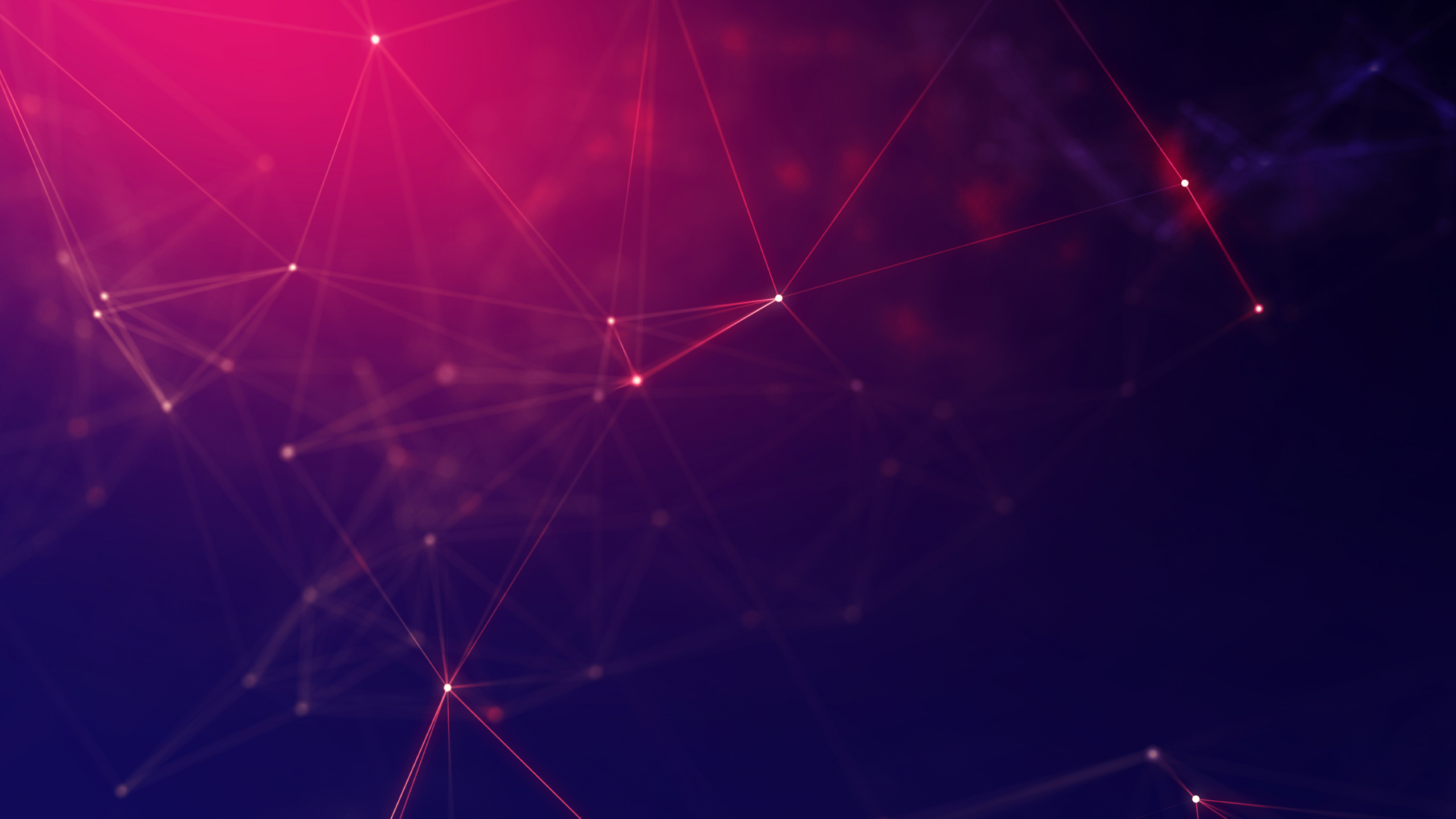 光, 红色的, 紫色的, 紫罗兰色, 透镜的光晕 壁纸 2560x1440 允许