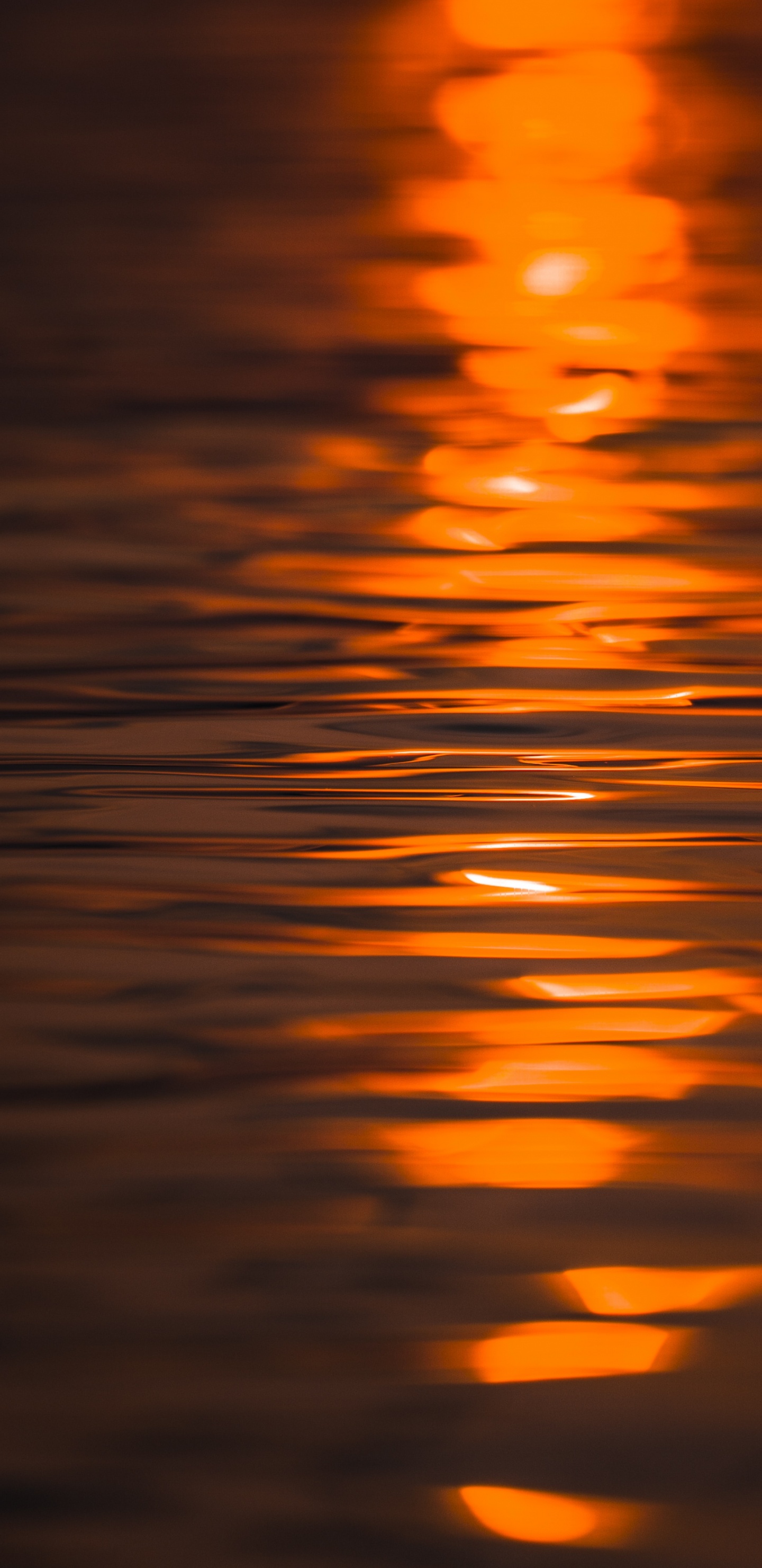 Cuerpo de Agua Durante la Puesta de Sol. Wallpaper in 1440x2960 Resolution