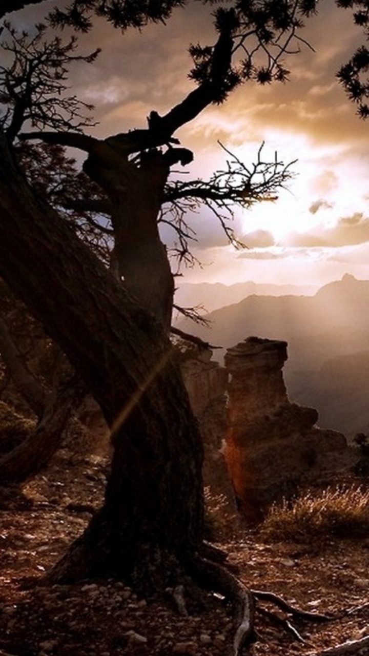 Brauner Berg Unter Weißen Wolken Tagsüber. Wallpaper in 720x1280 Resolution