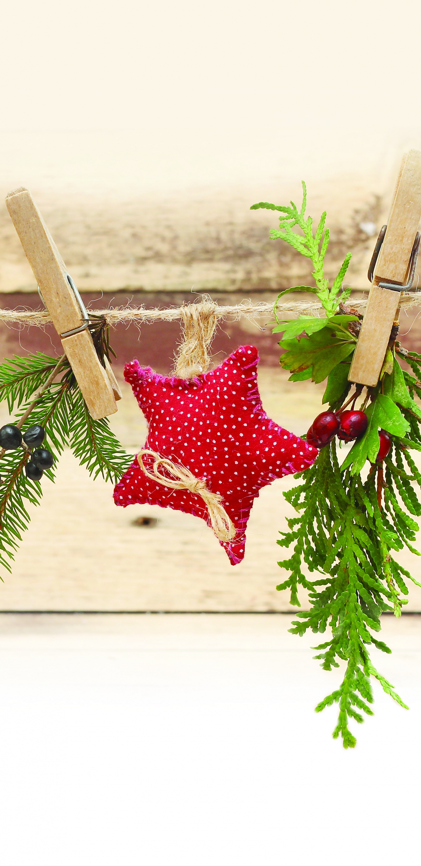 Christmas Ornament, Christmas Day, New Year, Christmas Decoration, Holiday. Wallpaper in 1440x2960 Resolution