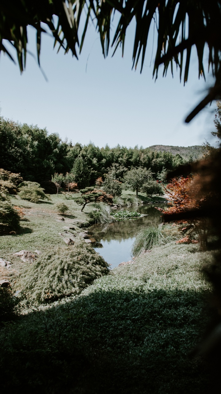 Natur, Baum, Vegetation, Wasser, Naturlandschaft. Wallpaper in 720x1280 Resolution