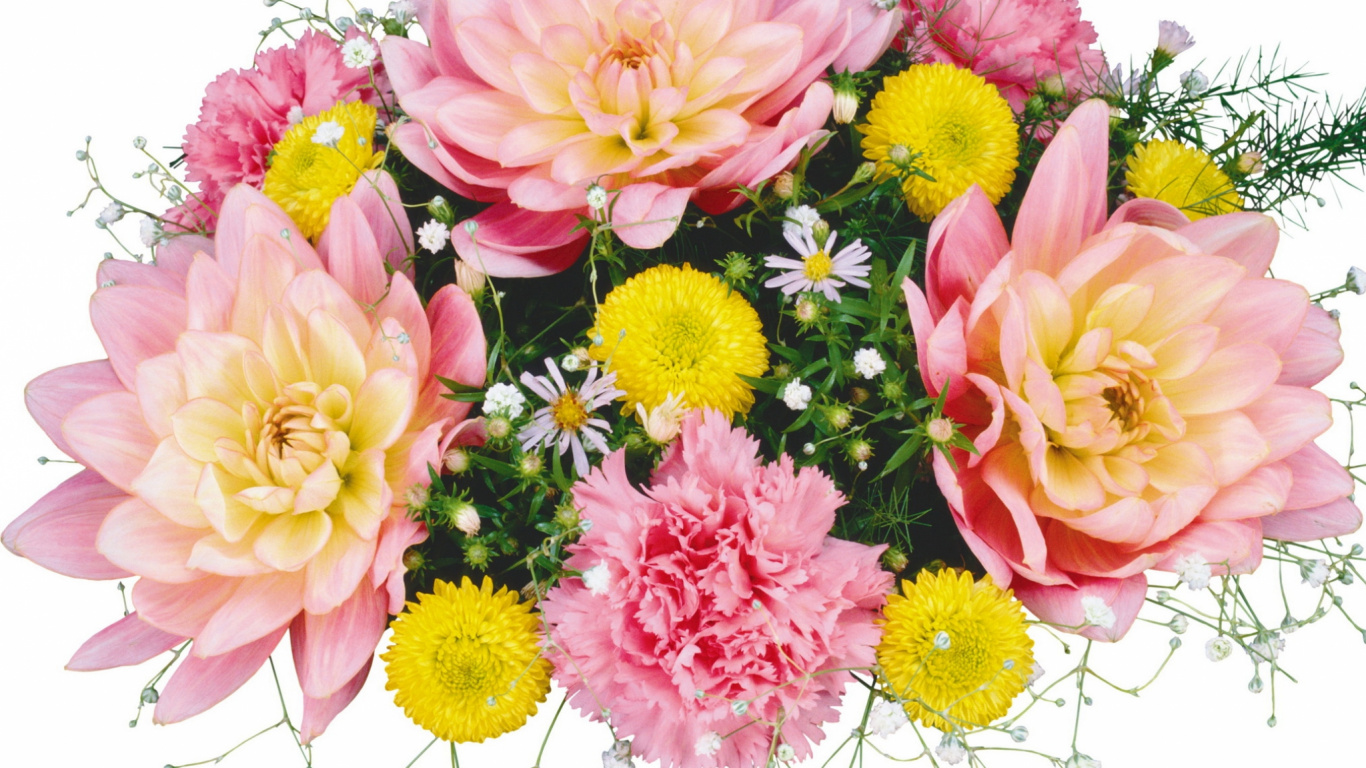 Pink and Yellow Flowers on White Background. Wallpaper in 1366x768 Resolution