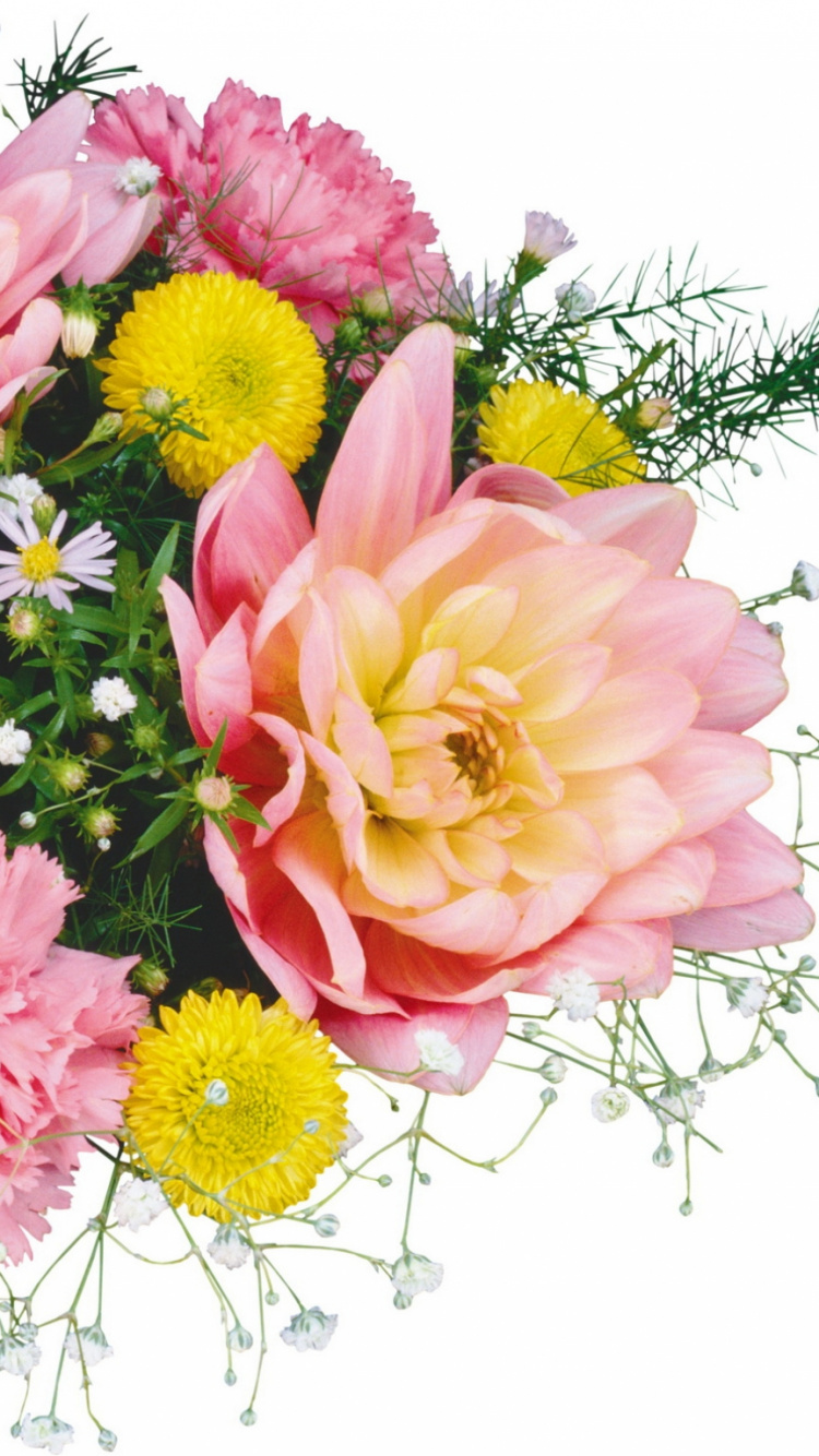 Pink and Yellow Flowers on White Background. Wallpaper in 750x1334 Resolution