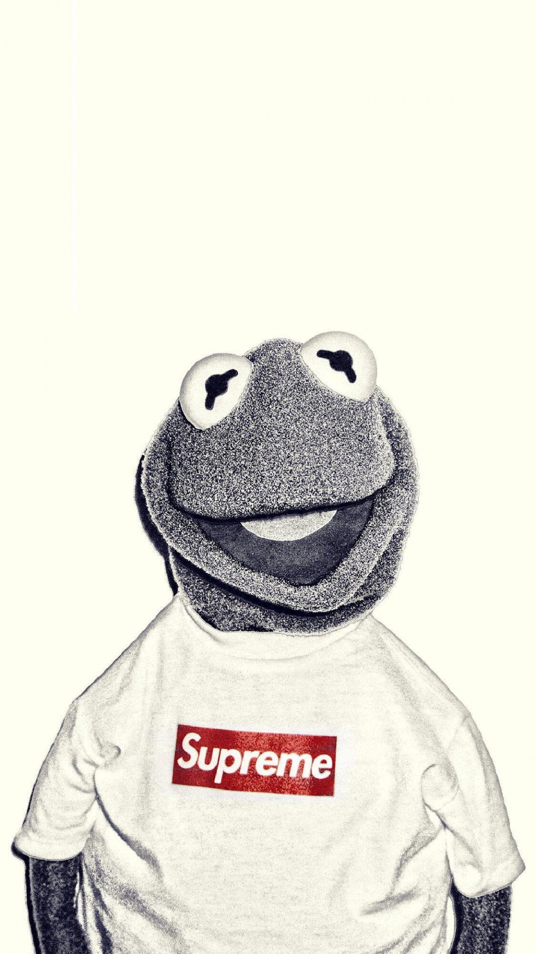 Kermit Supremo, Kermit la Rana, Supremo, Cartel Supremo, Lienzo. Wallpaper in 1080x1920 Resolution