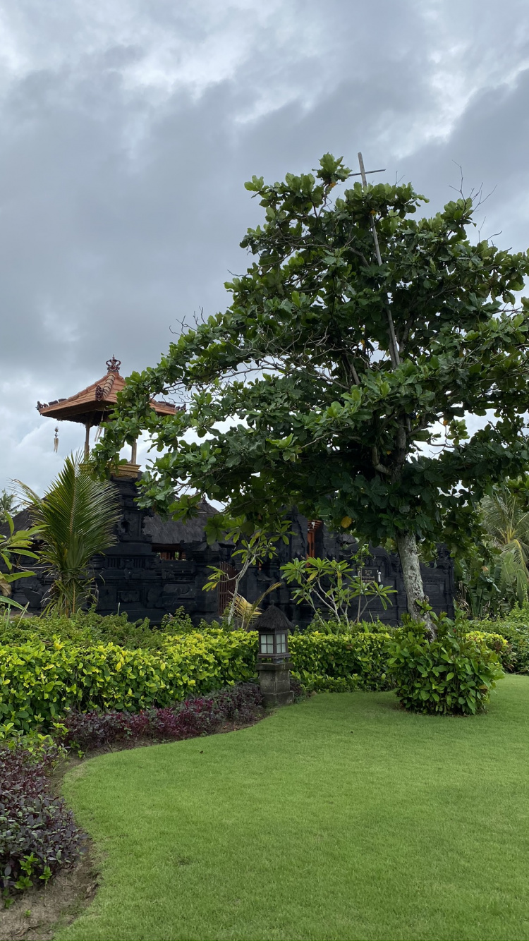 Baum, Vegetation, Blatt, Cloud, Staude. Wallpaper in 750x1334 Resolution