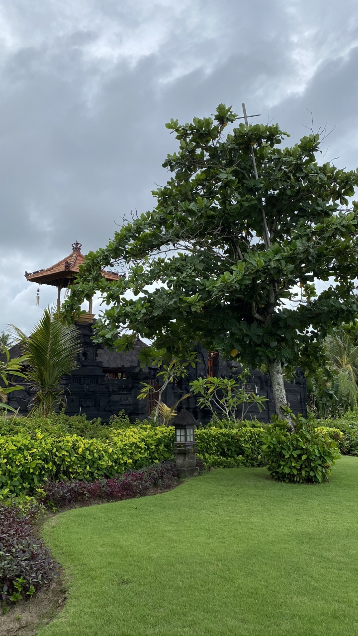 Tree, Vegetation, Leaf, Plant, Cloud. Wallpaper in 720x1280 Resolution