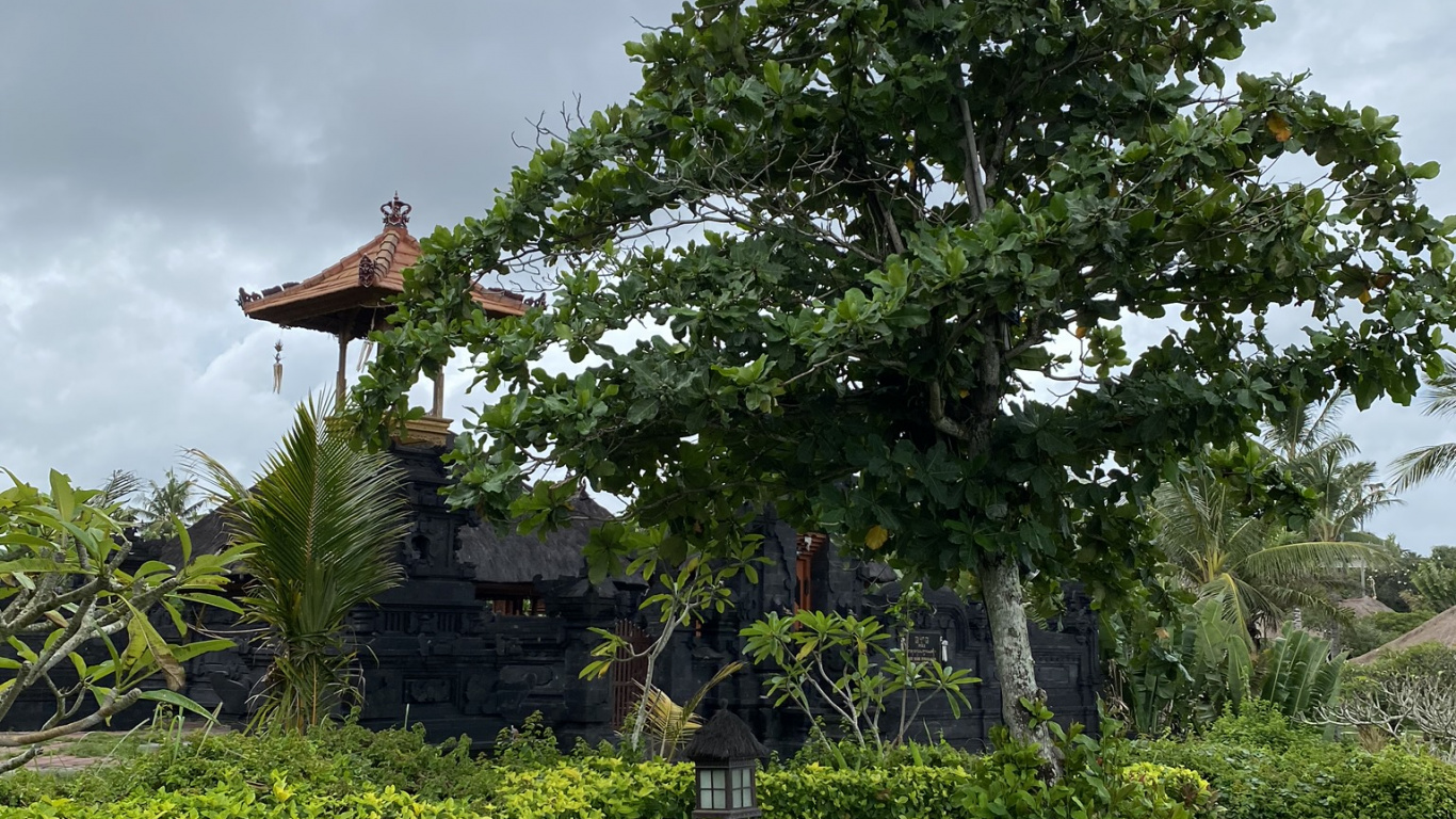 植被, 灌木, 花园, 地被, 草坪 壁纸 1366x768 允许