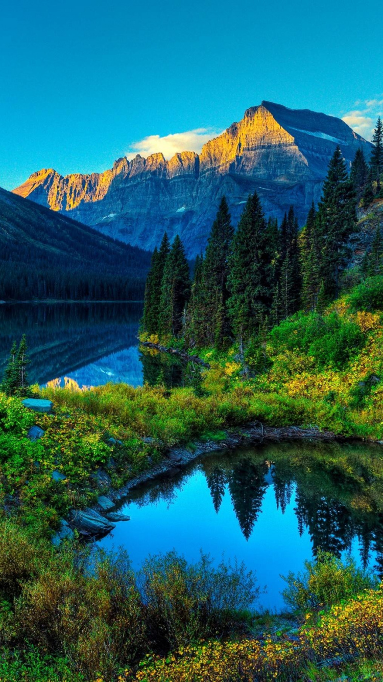 Green Trees Near Lake and Mountain Under Blue Sky During Daytime. Wallpaper in 750x1334 Resolution