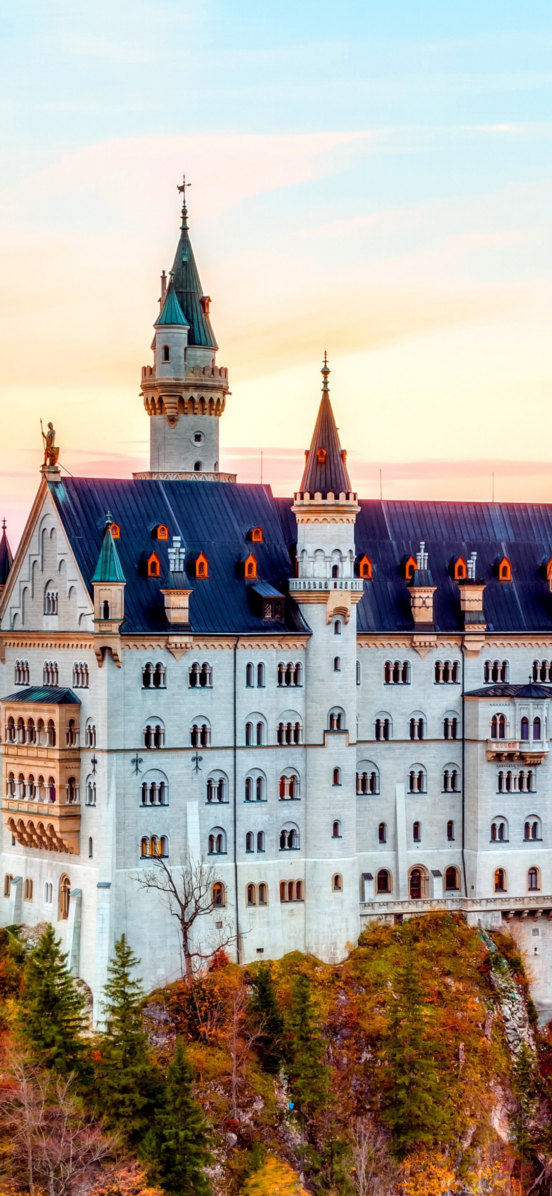 Weißes Und Schwarzes Schloss Auf Grüner Wiese Tagsüber. Wallpaper in 1125x2436 Resolution