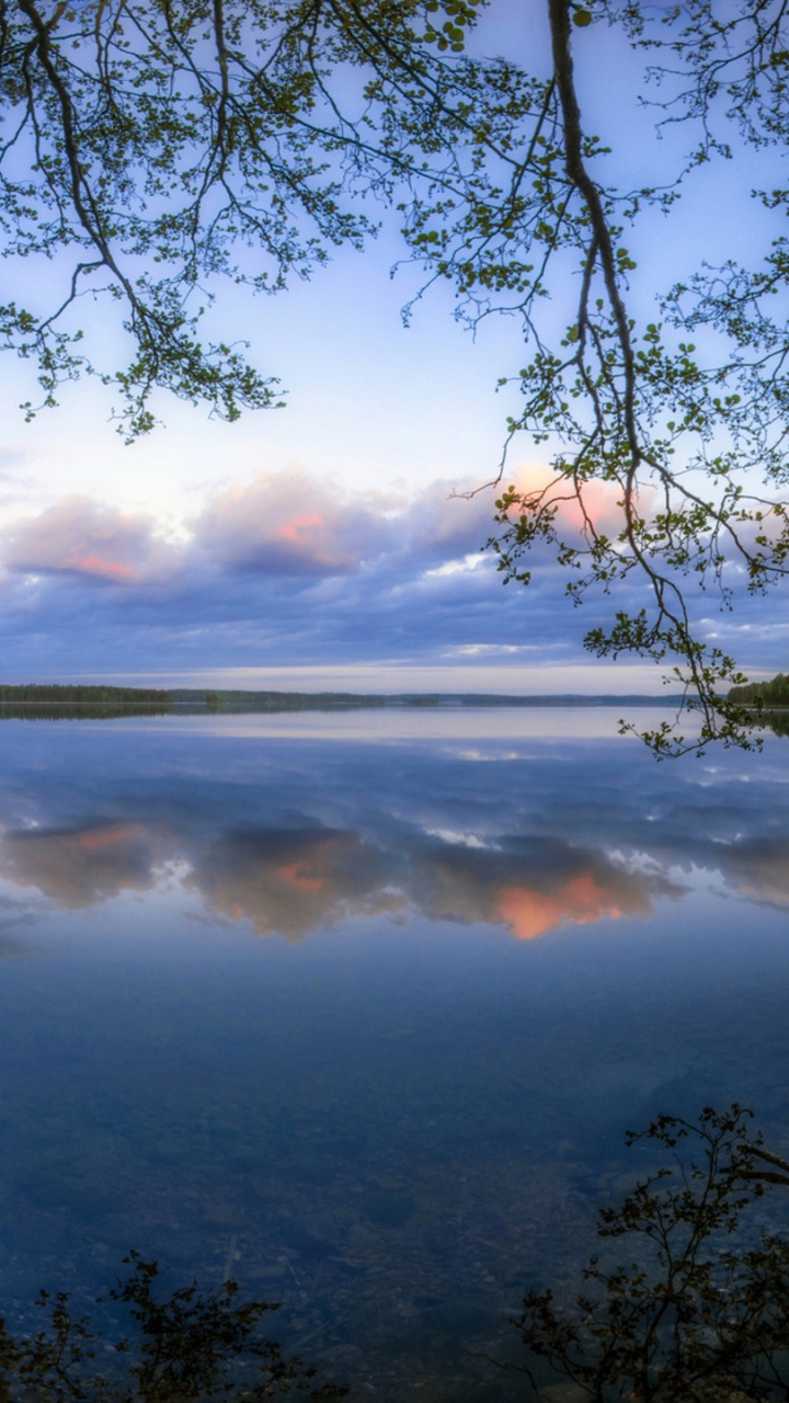 Green Trees Near Body of Water During Daytime. Wallpaper in 720x1280 Resolution