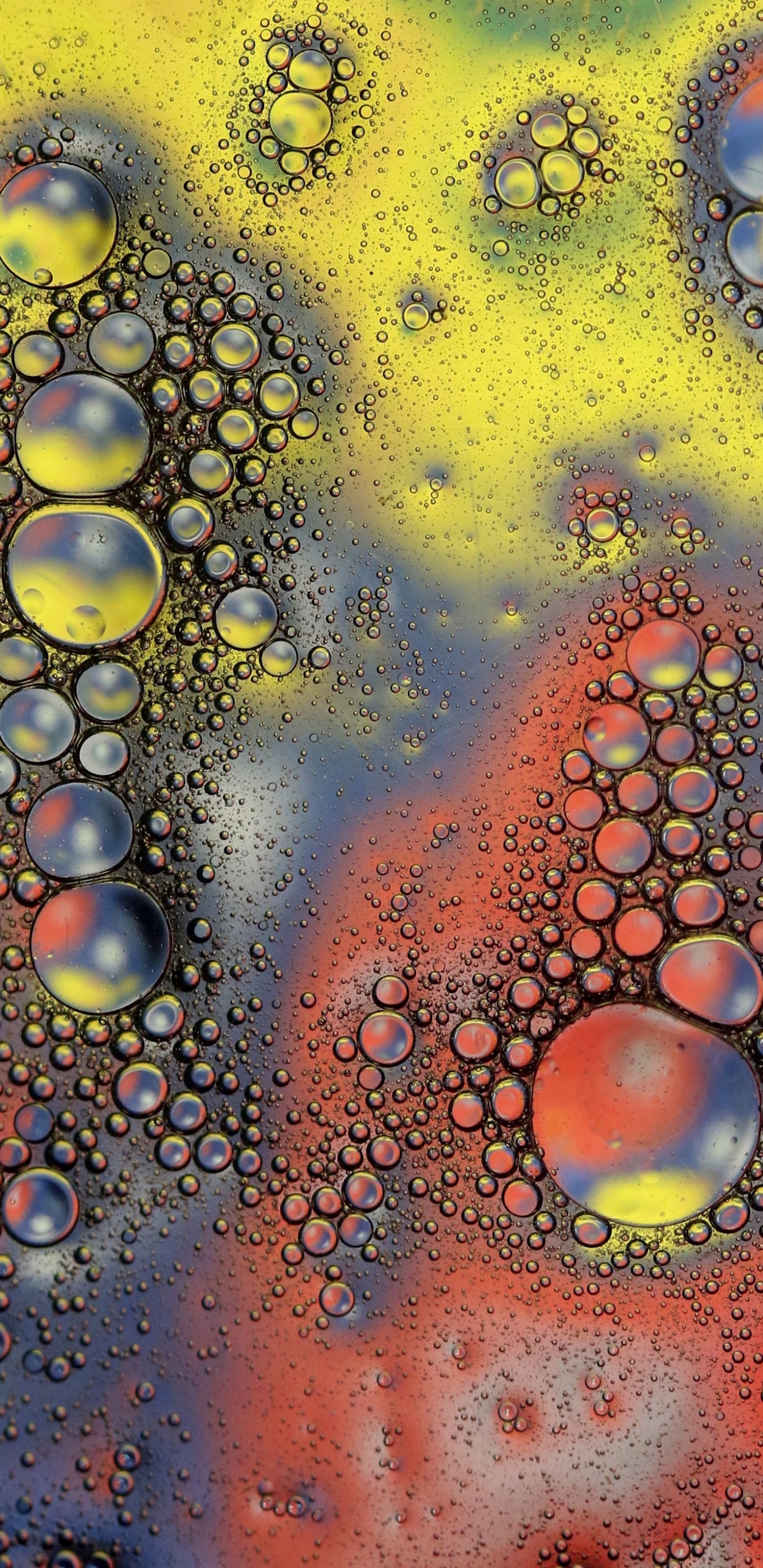 Gouttes D'eau Sur Panneau de Verre. Wallpaper in 1440x2960 Resolution