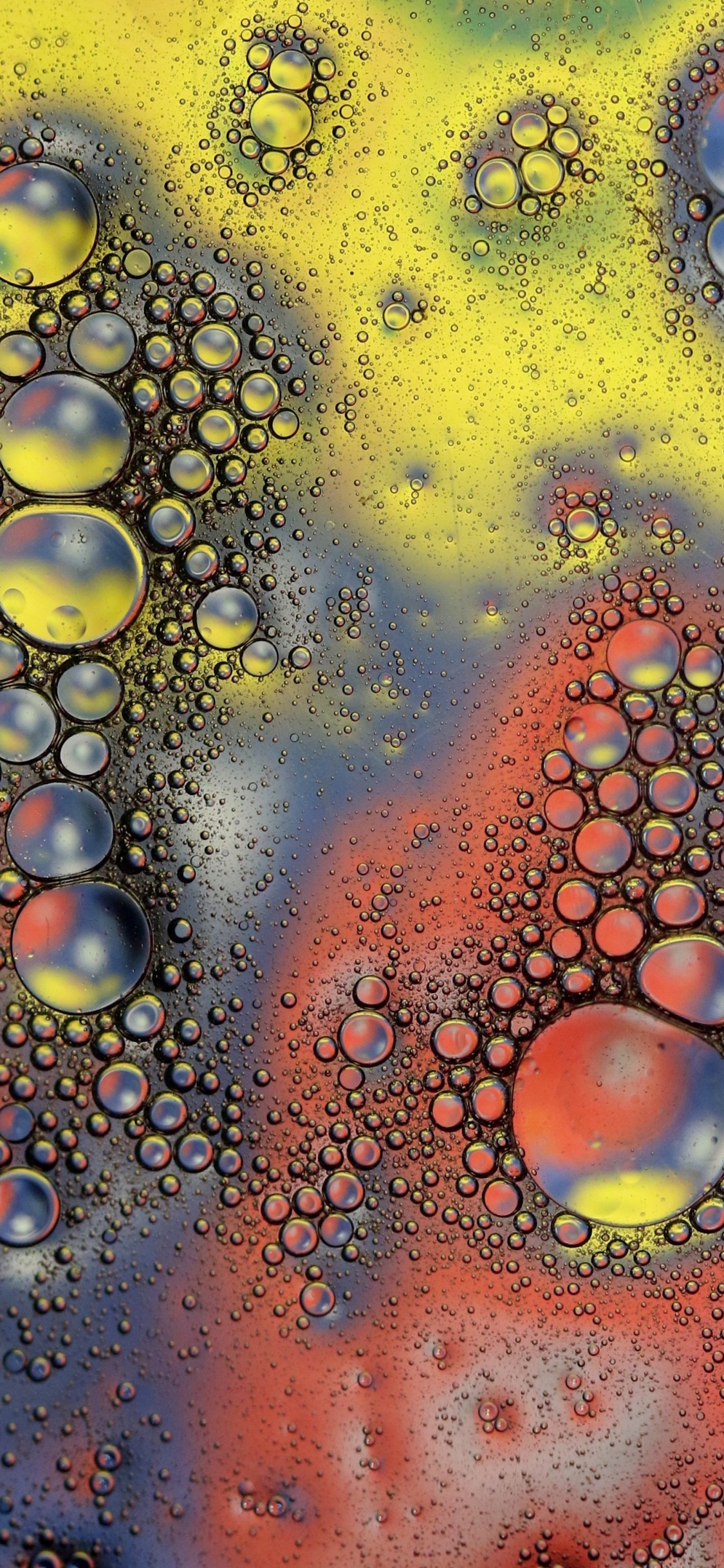 Gotas de Agua en el Panel de Vidrio. Wallpaper in 1125x2436 Resolution