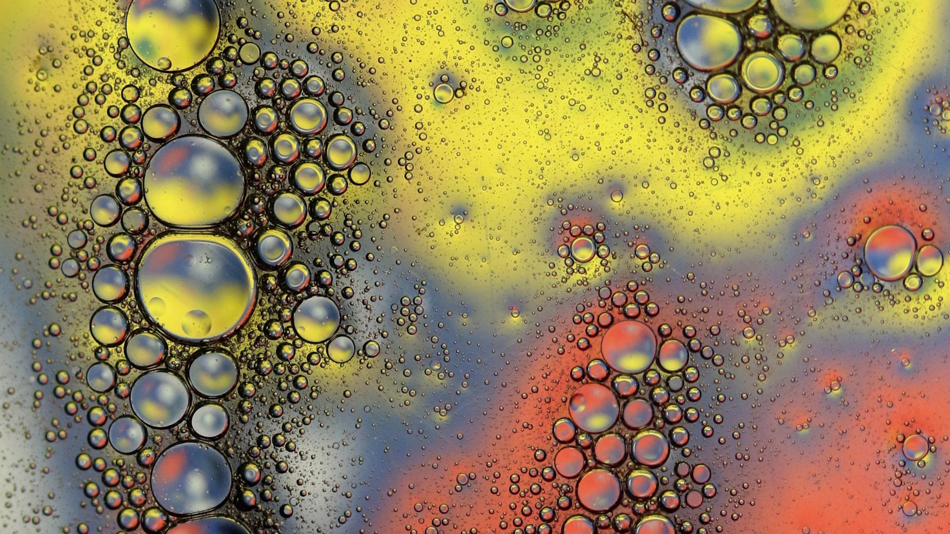 Gotas de Agua en el Panel de Vidrio. Wallpaper in 1920x1080 Resolution