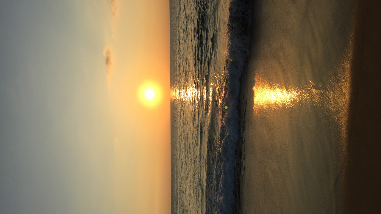 Wood, Science, Physics, Body of Water, Fluid. Wallpaper in 1280x720 Resolution