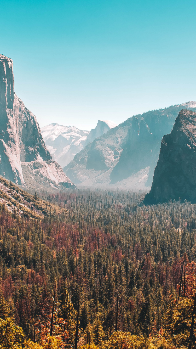 Yosemite Falls, Wawona-Tunnel, Half Dome, Nationalpark, Death Valley National Park. Wallpaper in 750x1334 Resolution