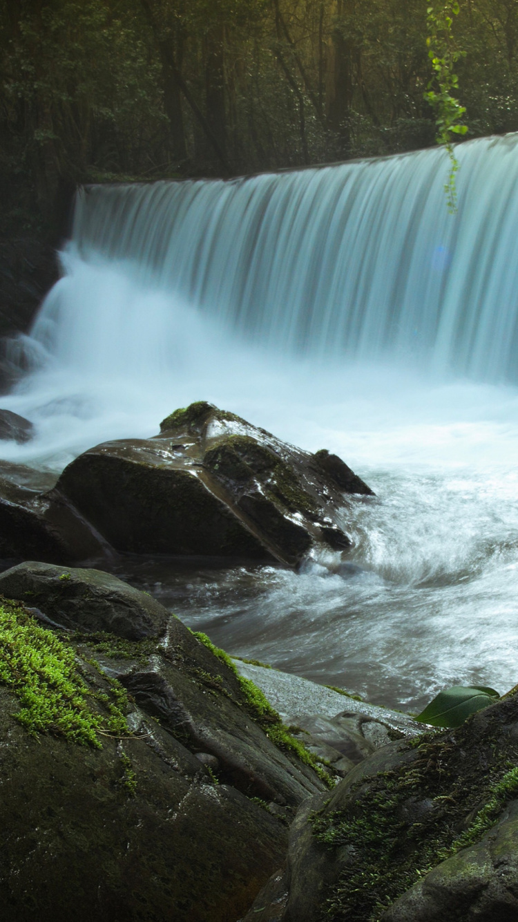 Person in Red Jacket and Black Pants Standing on Rock Near Waterfalls During Daytime. Wallpaper in 750x1334 Resolution