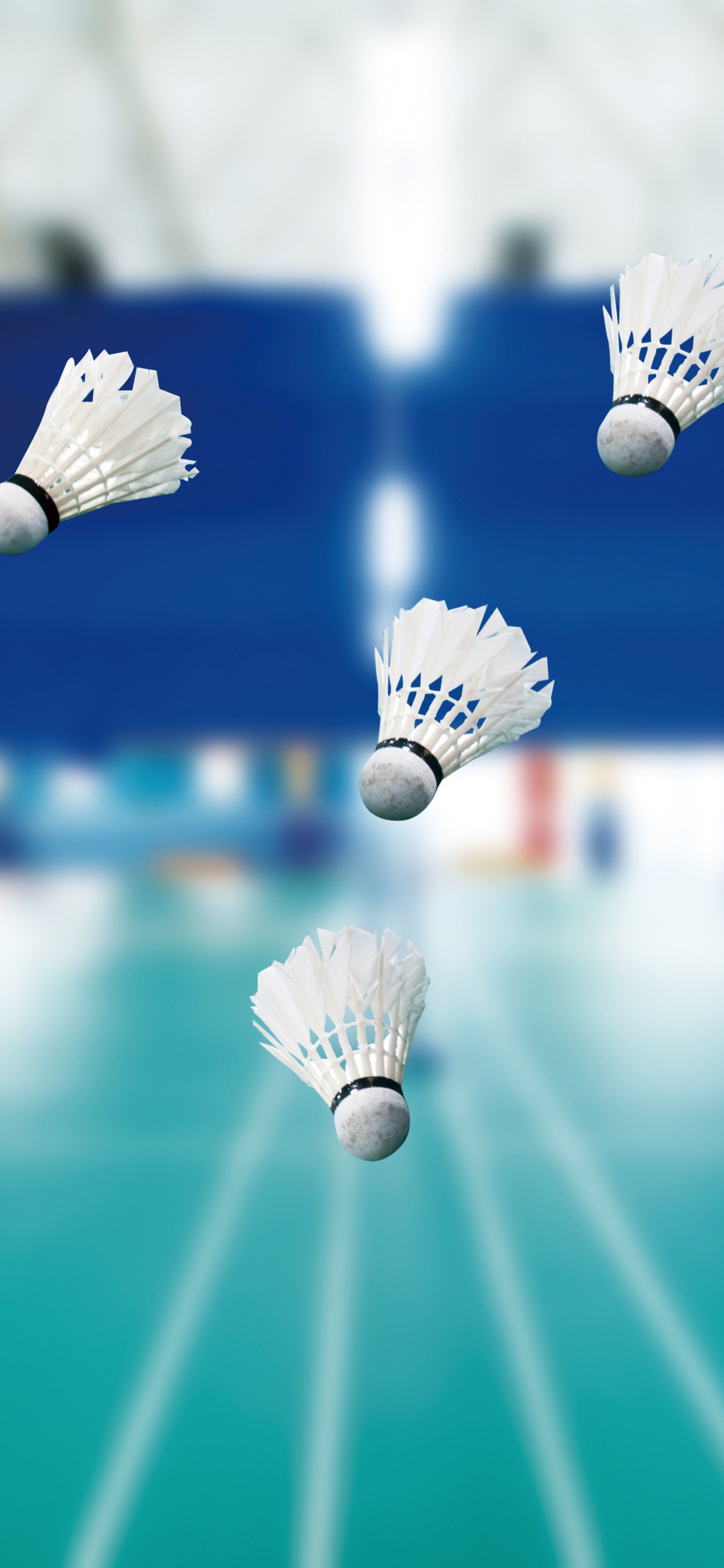 Weißer Und Brauner Pinsel Auf Wasser. Wallpaper in 1242x2688 Resolution