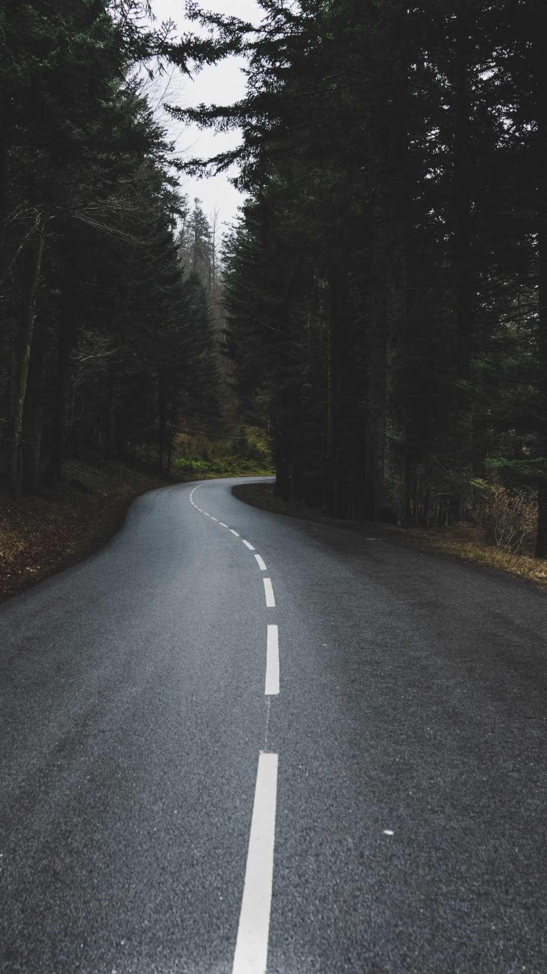 la Luz Del Sol, Rey, Asfalto de Concreto, Calle, Infraestructura. Wallpaper in 1080x1920 Resolution