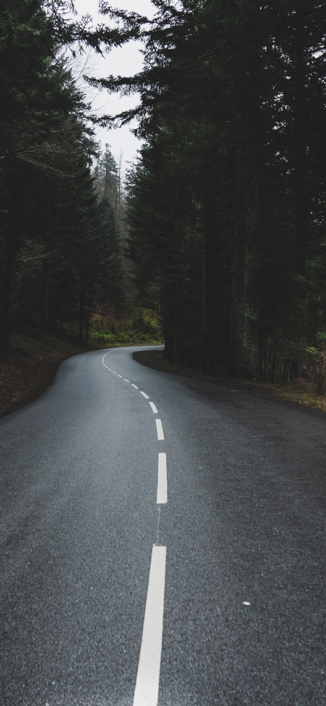 la Luz Del Sol, Rey, Asfalto de Concreto, Calle, Infraestructura. Wallpaper in 1125x2436 Resolution