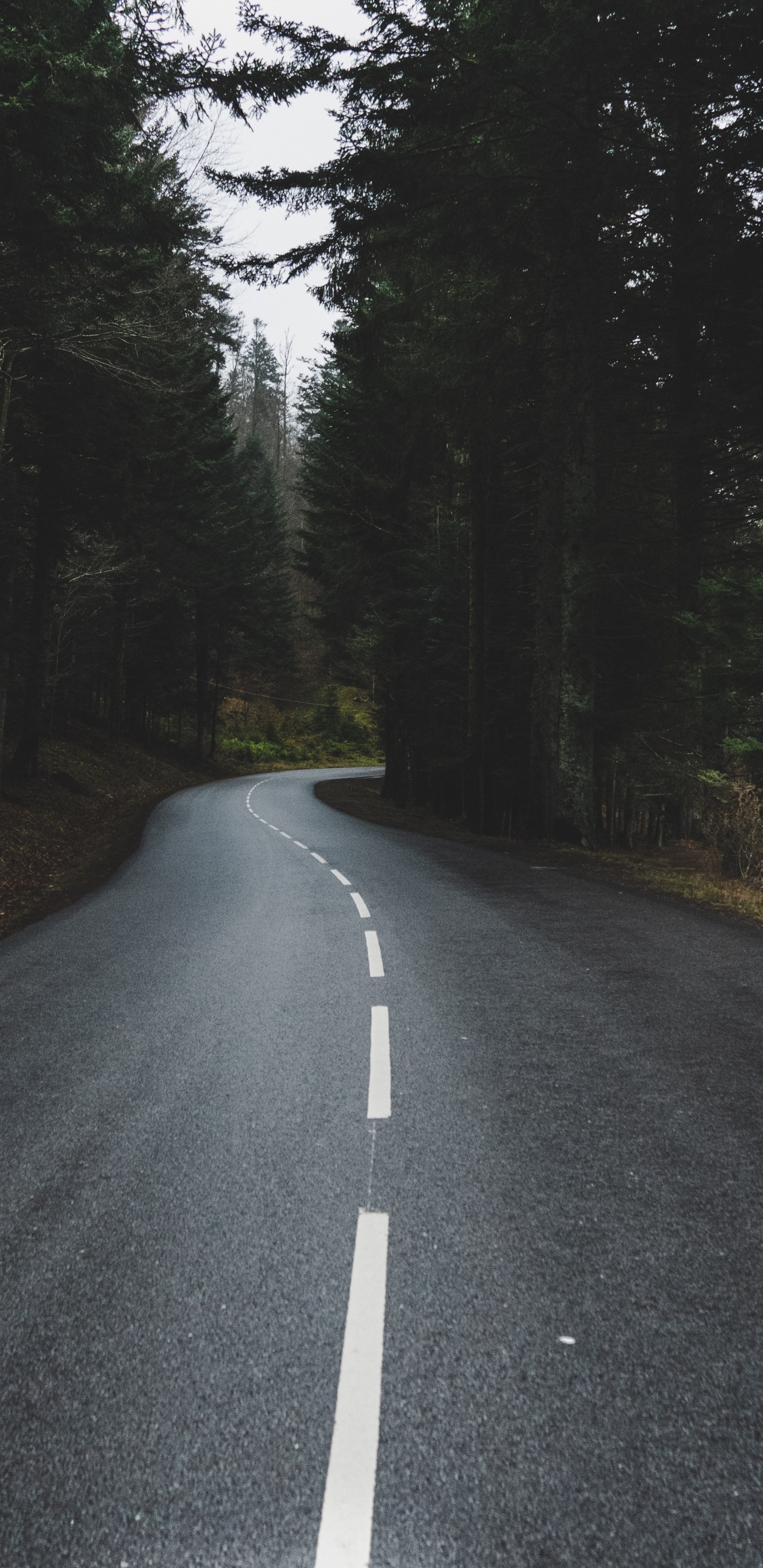 Roi, Asphalte Béton, Artère, Infrastructure, Surface de la Route. Wallpaper in 1440x2960 Resolution