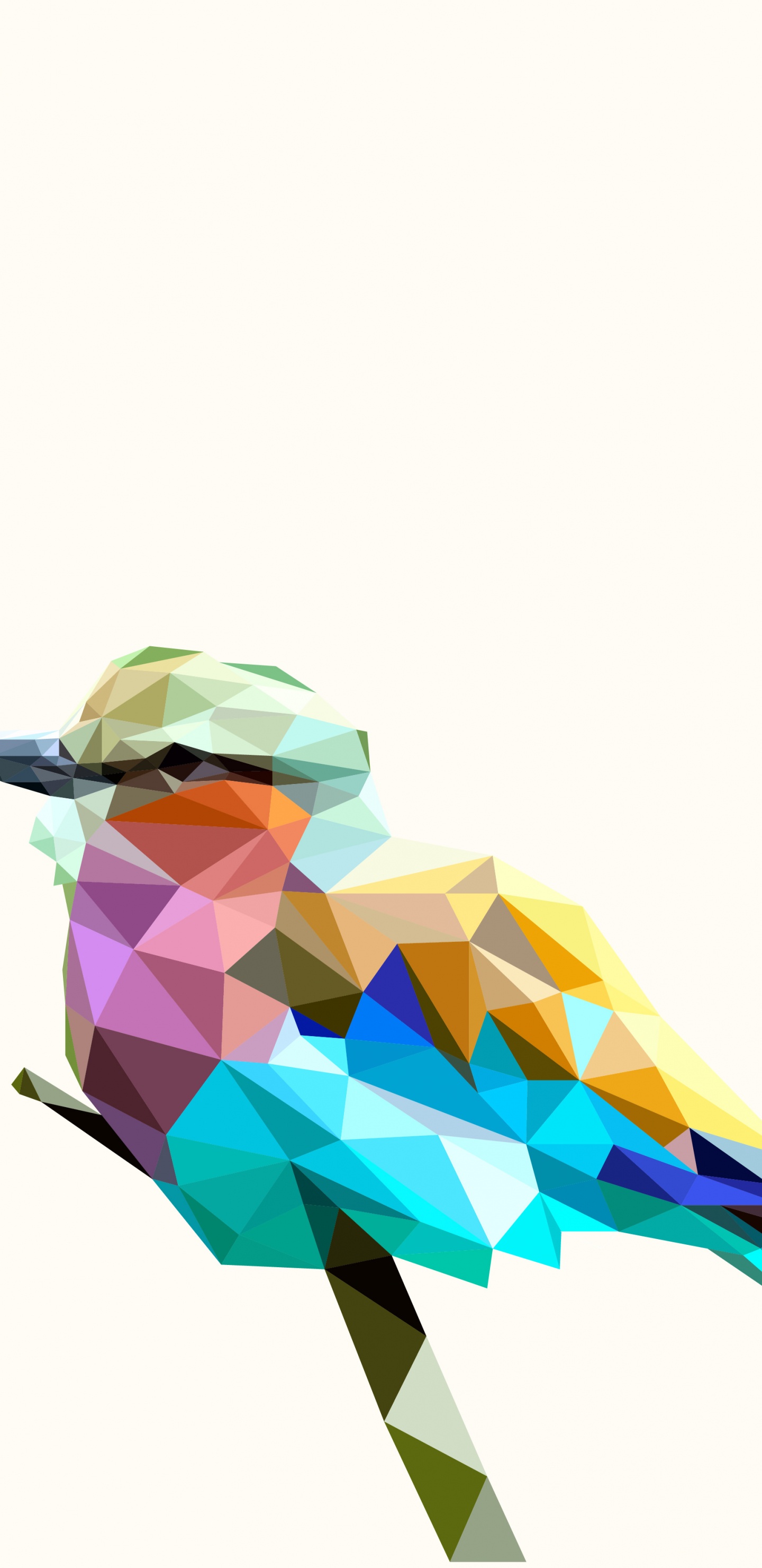 Blue Green and Yellow Bird. Wallpaper in 1440x2960 Resolution