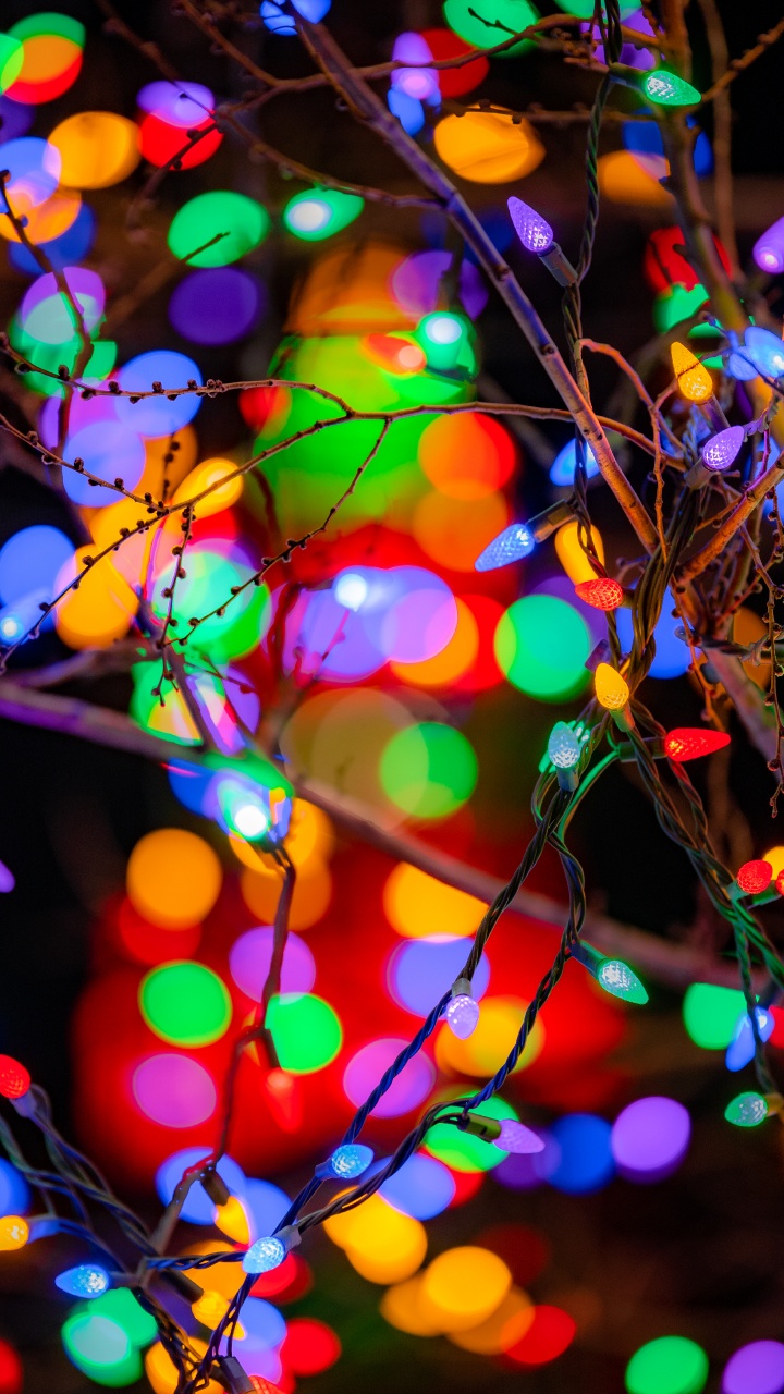 Green and Red String Lights. Wallpaper in 720x1280 Resolution