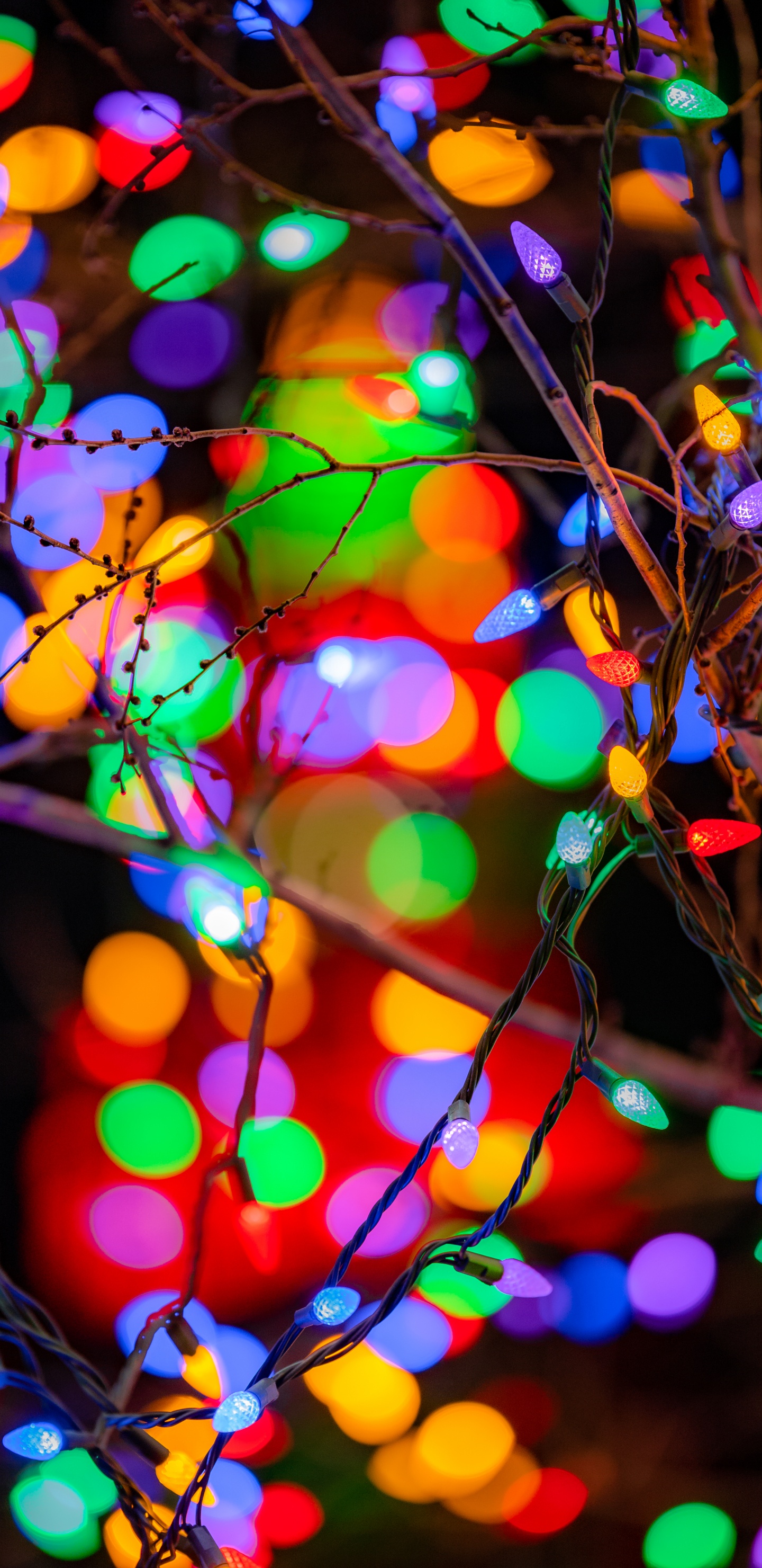 室内设计, 圣诞彩灯, 光, 装饰品, 迷幻术 壁纸 1440x2960 允许