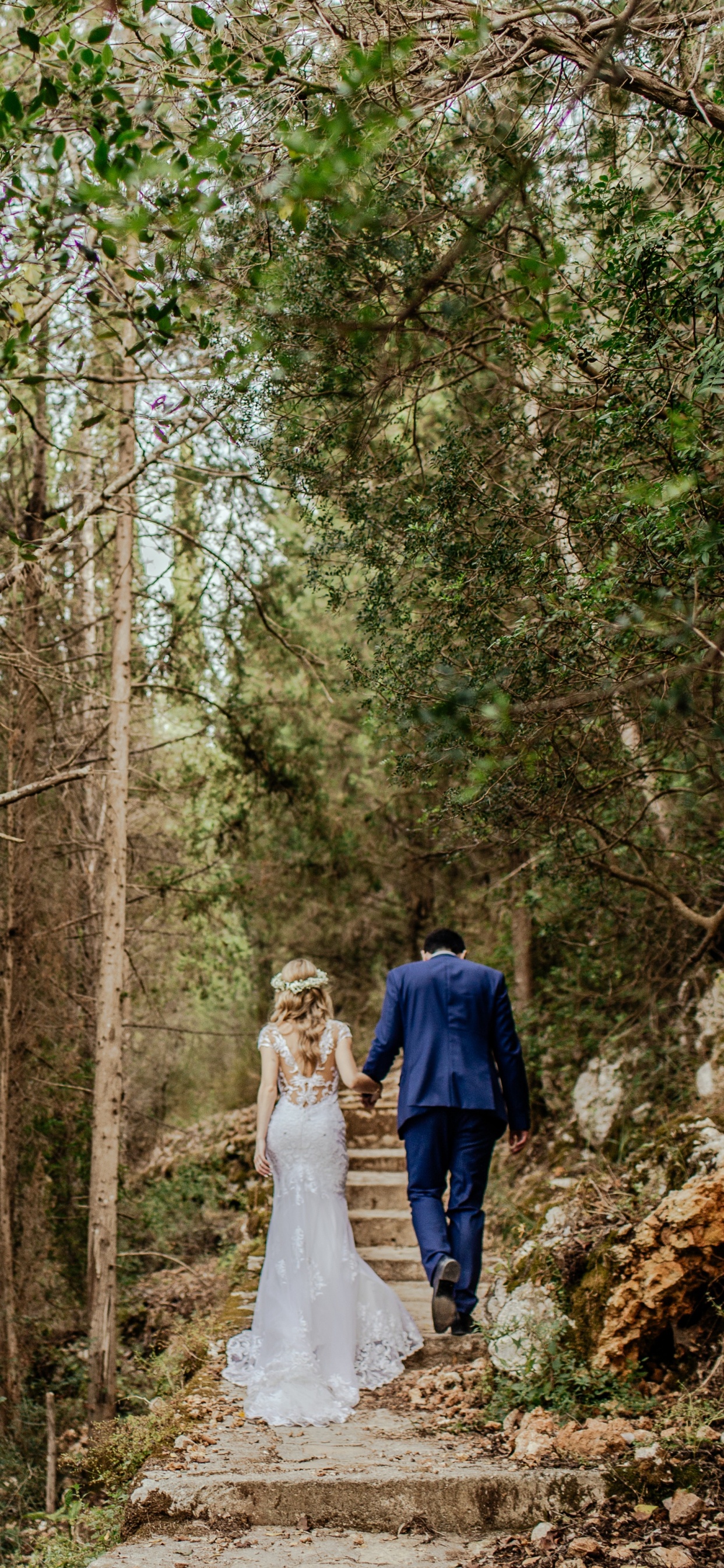 Wedding, Nature, Tree, Natural Landscape, Natural Environment. Wallpaper in 1242x2688 Resolution