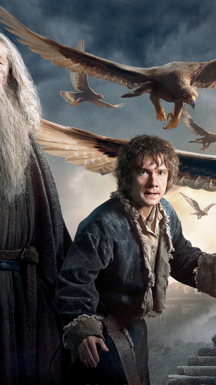 Gandalf Hobbit, Ian McKellen, The Hobbit The Desolation of Smaug, Gandalf, Bilbo Baggins. Wallpaper in 720x1280 Resolution