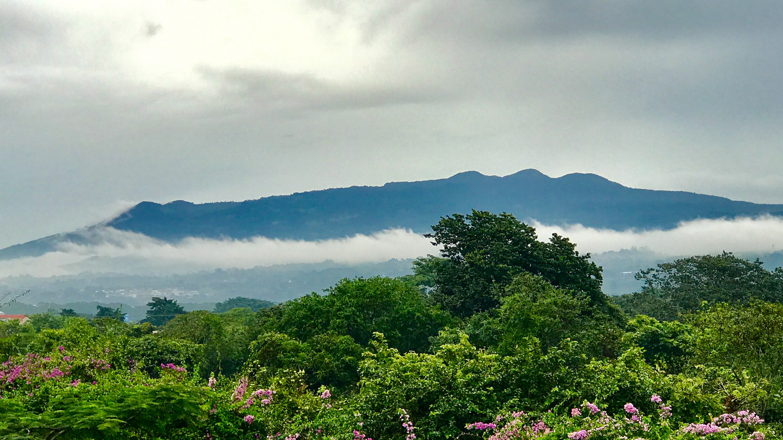 植被, 高地, 安装的风景, 山站, 性质 壁纸 2560x1440 允许