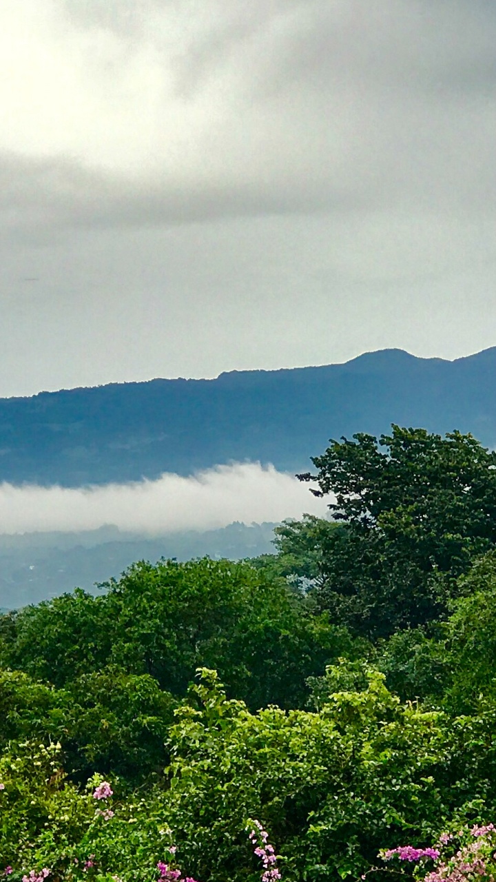 植被, 高地, 安装的风景, 山站, 性质 壁纸 720x1280 允许