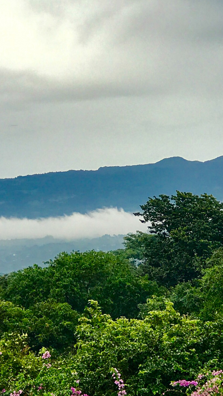 植被, 高地, 安装的风景, 山站, 性质 壁纸 750x1334 允许