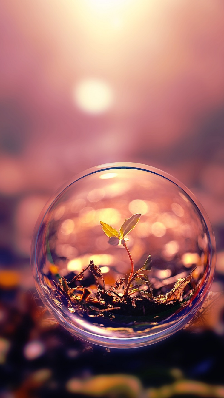 Klare Glaskugel Mit Wassertropfen. Wallpaper in 750x1334 Resolution