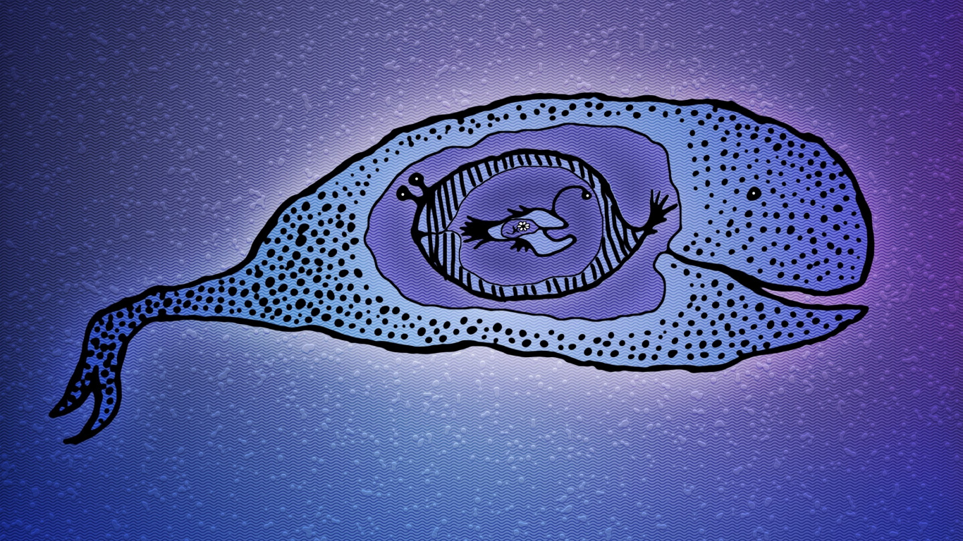 海洋生物学, 大海, 鲸鱼, 紫色的 壁纸 1366x768 允许