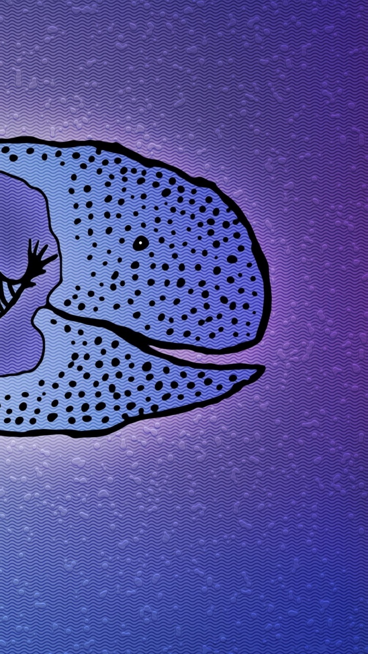 White and Blue Floral Heart Shaped Wall Decor. Wallpaper in 720x1280 Resolution