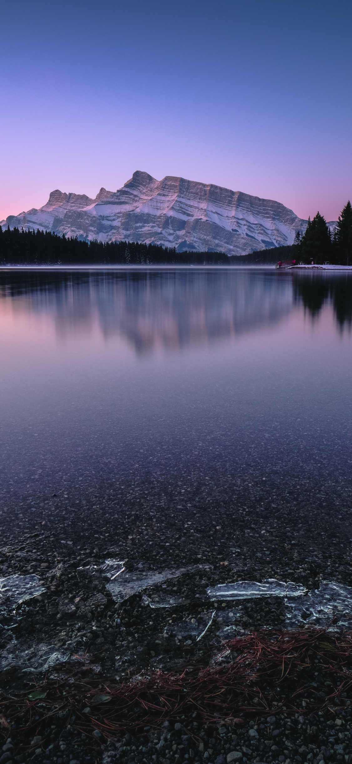 Two Jack Lake, Lake, Body of Water, Reflection, Nature. Wallpaper in 1125x2436 Resolution