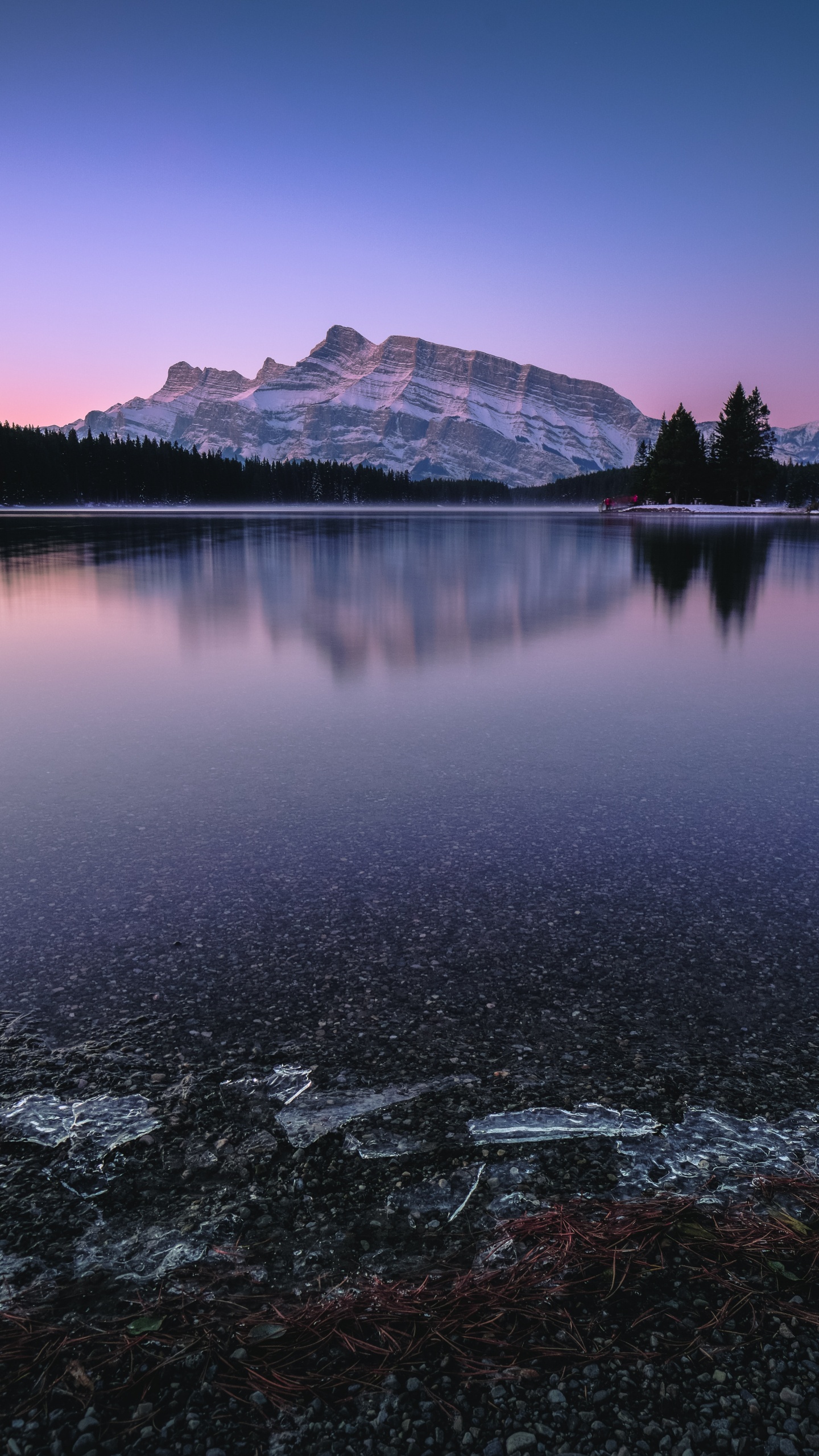 Two Jack Lake, Lake, Body of Water, Reflection, Nature. Wallpaper in 1440x2560 Resolution