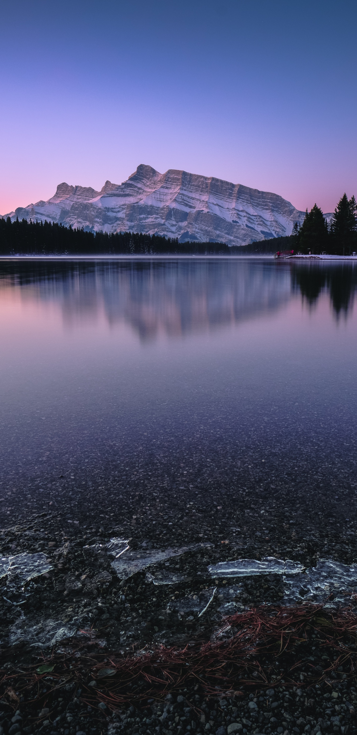 Two Jack Lake, Lake, Body of Water, Reflection, Nature. Wallpaper in 1440x2960 Resolution