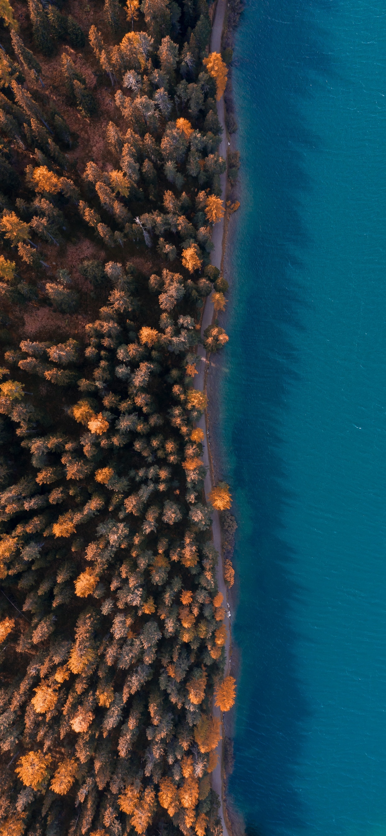 Eau, le Récif de Corail, Ciel, Corail, Microsoft Azure. Wallpaper in 1242x2688 Resolution