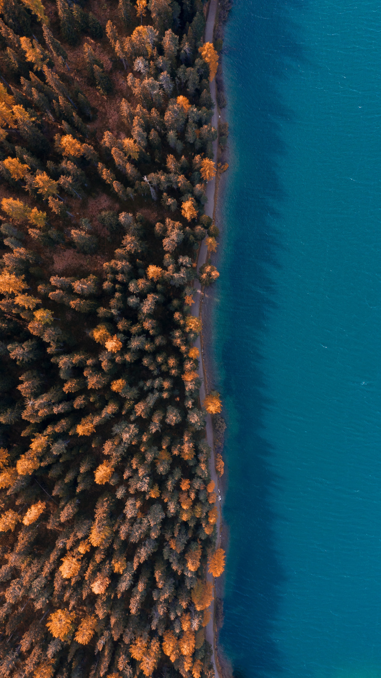 Eau, le Récif de Corail, Ciel, Corail, Microsoft Azure. Wallpaper in 750x1334 Resolution