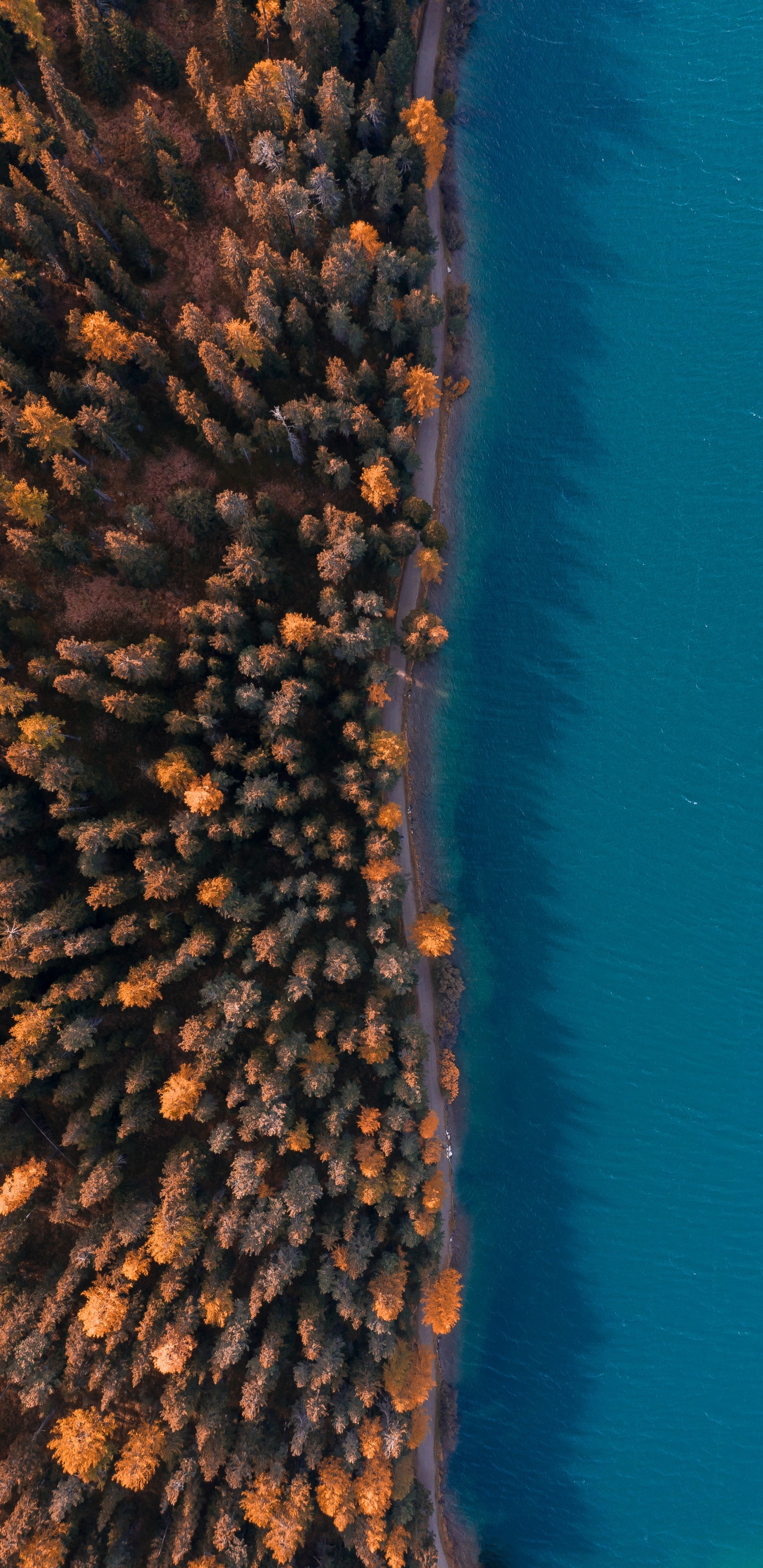 天空, 珊瑚, 珊瑚礁, 水下, 大海 壁纸 1440x2960 允许
