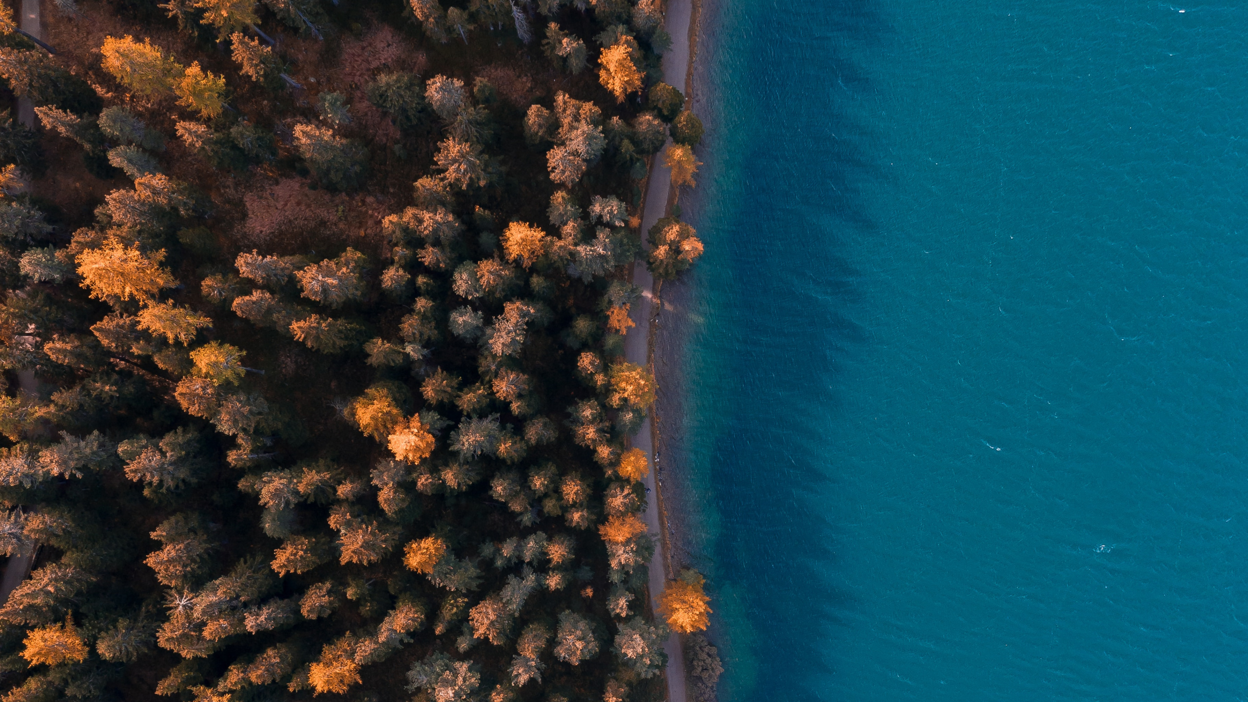 Water, Coral Reef, Sky, Coral, Microsoft Azure. Wallpaper in 2560x1440 Resolution