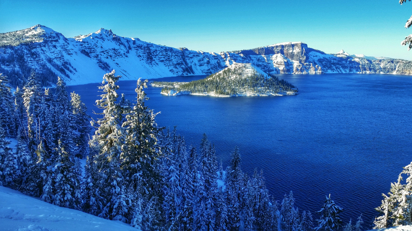 Green Pine Tree Near Body of Water During Daytime. Wallpaper in 1366x768 Resolution