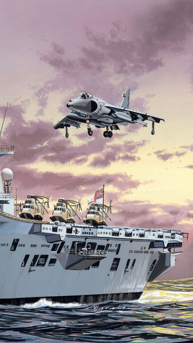 HMS Ark Royal, Marina Real, Portaaviones, Buque de Guerra de La, Naval. Wallpaper in 750x1334 Resolution